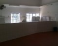 /album/conhe%c3%a7a%20mais%20o%20i-c-e/moto-0715-jpg/